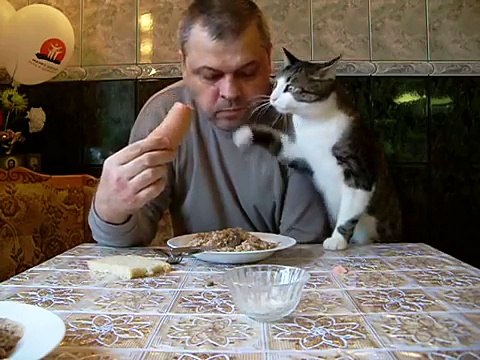 Как мой кот, просит кушать!