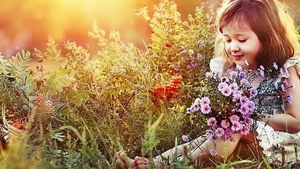 Amigo da Lua   -  Benito di  Paula