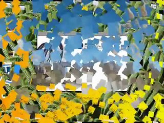 WPF Mashup (Directors Cut)