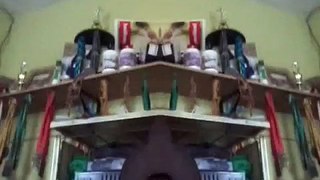 Funny Camera effects with YayCam for Android - Helium Video Booth