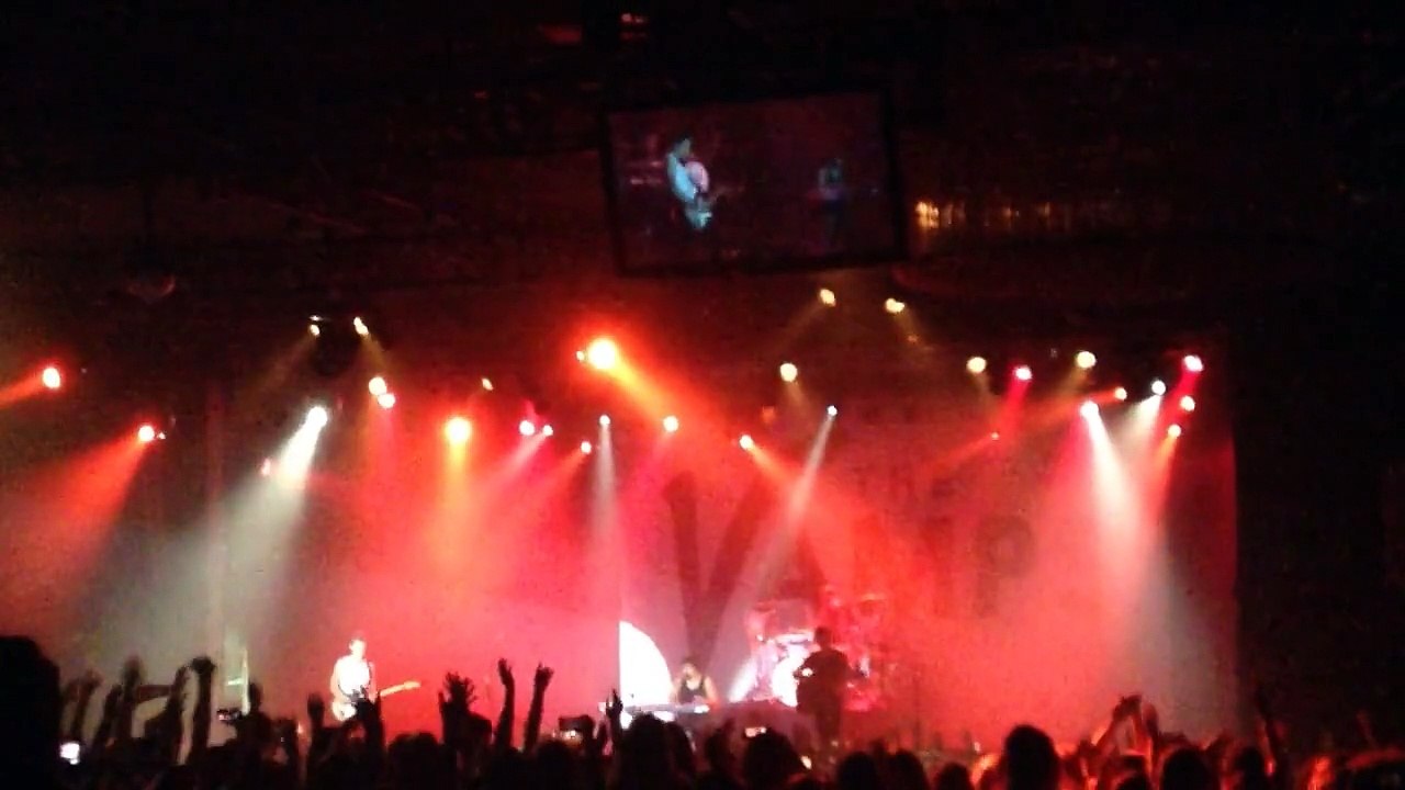 The vamps