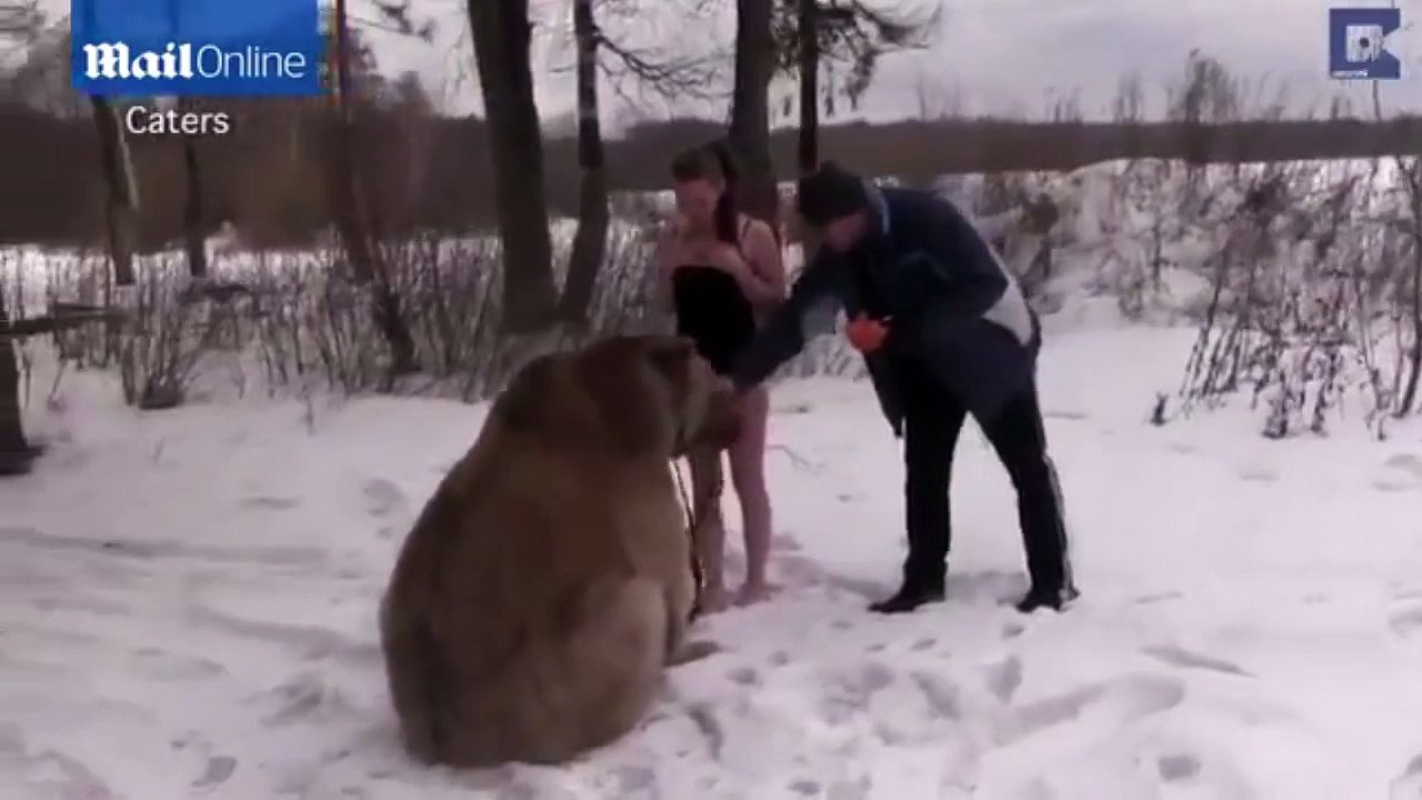 Cesur Kızlar Ayı İle Çekim Yapıyorlar