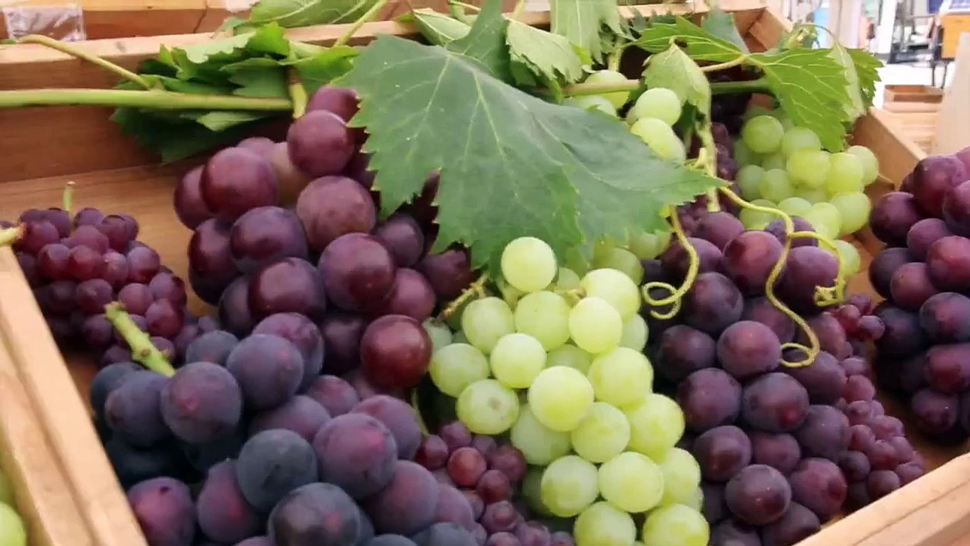 ⁣美人をつくる、野菜と果物。 | ファーマーズマーケット動画部 | Farmer’s Market @UNU | 自由大学「伝わる動画学」