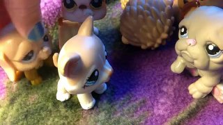 Lps stuck in a fairy tale! Episode 6 (HELP!!!!)