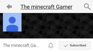 The Minecraft Gamer