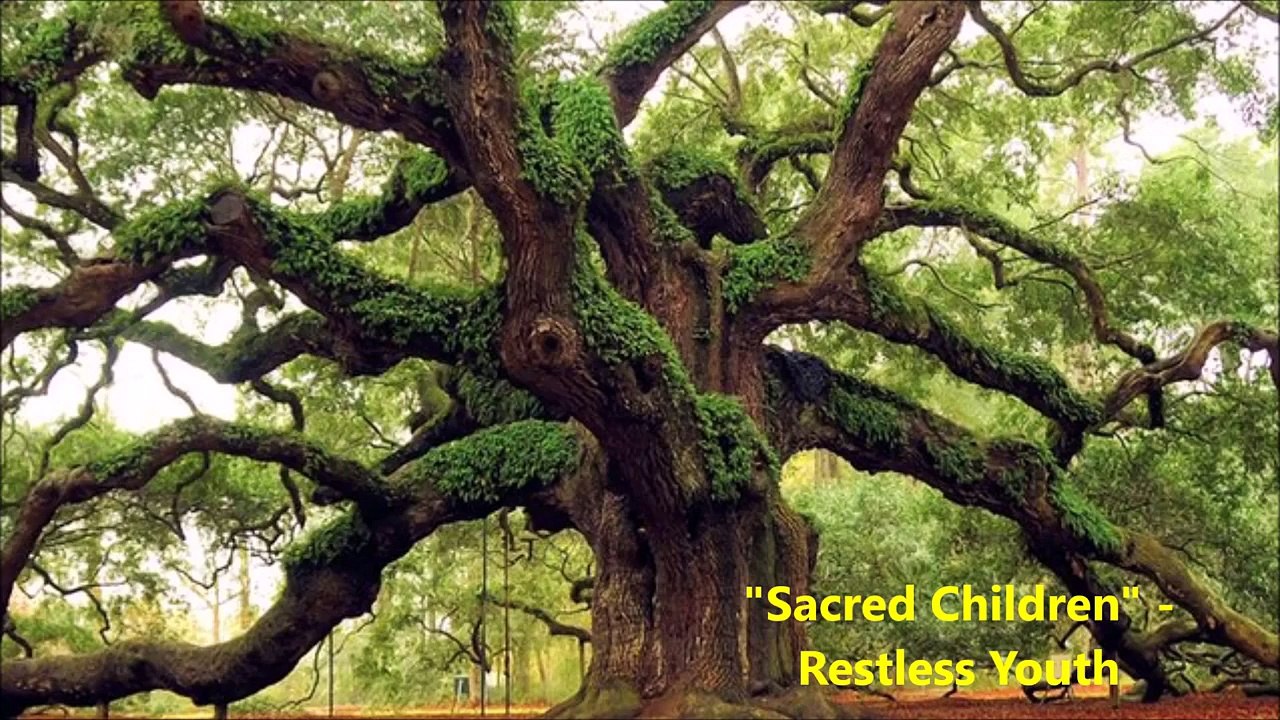 "Sacred Children" - Restless Youth - New Reggae Music