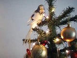 bimbo na boru./budgie bimbo on christmas tree