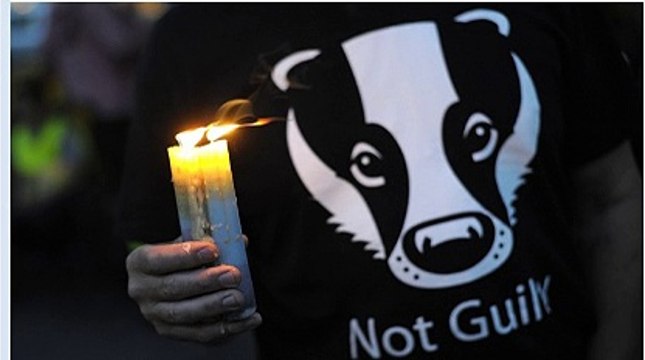 BBC Radio 4 - Farming Today, Badger Cull Rules 11Sept15