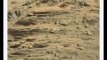 Ammonite Fossil & Alien  Face In New Mars Curiosity Rover Image
