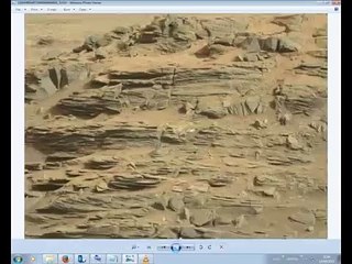 Ammonite Fossil & Alien  Face In New Mars Curiosity Rover Image