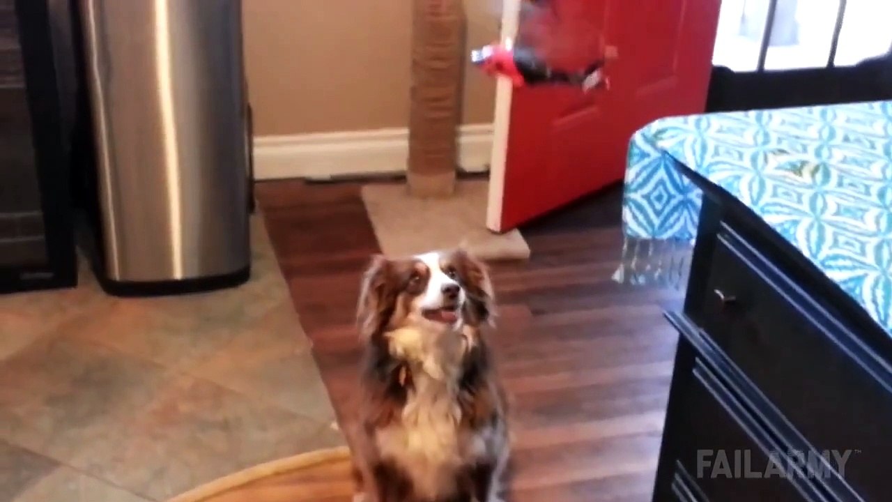 Remote Control Fails Compilation || FailArmy