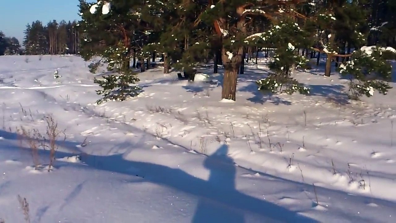 Снегоход Буран 1983 г.в.///Snowmobile Buran 1983 onwards