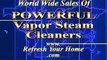 RESTROOM / BATHROOM Steam Cleaner Janitorial Cleaning Dry Vapor Commercial Steam Cleaner