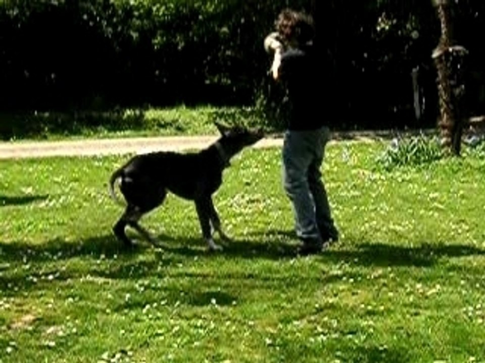 22 avril warhol et quentin, ballon