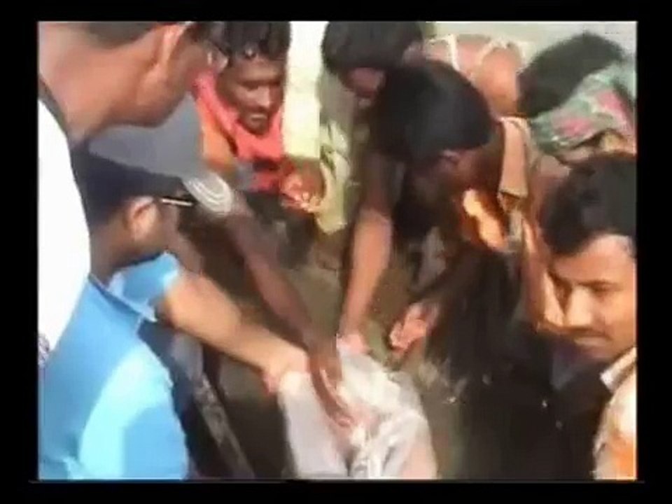 Hilsa Catching