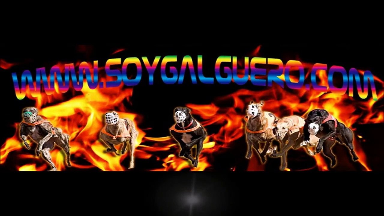 PABLITO---El-FortA?n-17-8-2015-WWW.SOYGALGUERO