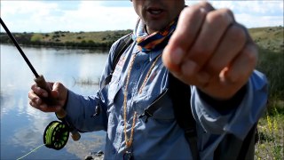 How to Fly Fish Chironomids in Lakes for Trout