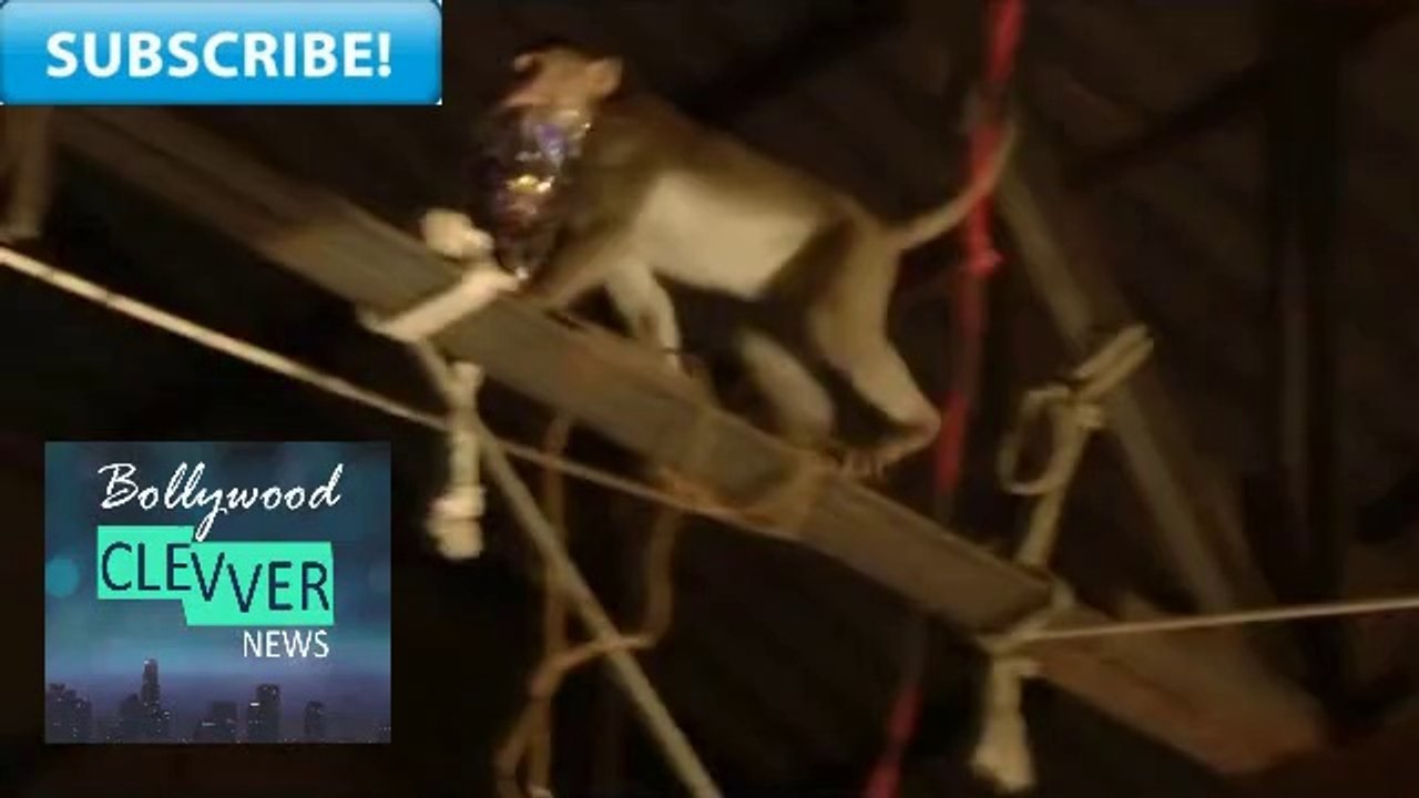 Suhani Si Ek Larki Yuvraj SUhani KI Sagai Mein BAndar NE Kiya HAmla-14th September 2015