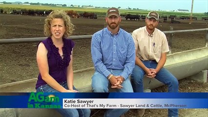 That's My Farm - Tiffany Cattle Co.