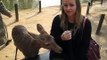 Feeding Deer in Nara