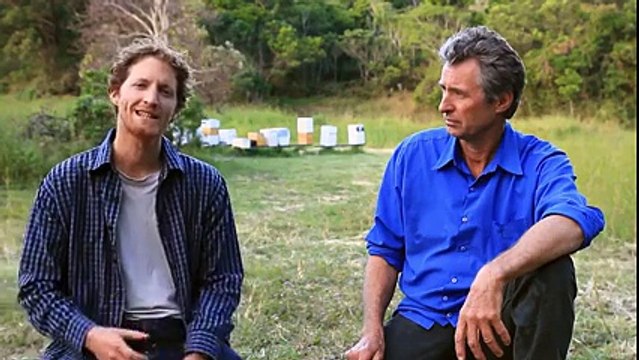 New Invention - Flow- Honey on Tap Directly From your Beehive