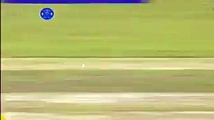 Amazing Cricket Amazing Run out