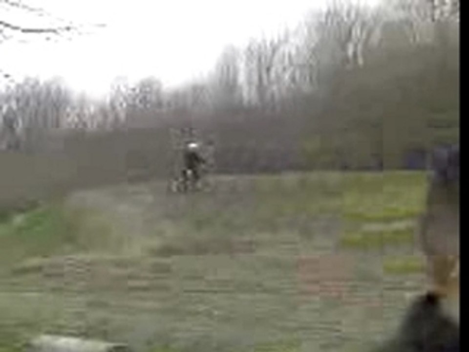Maron au cross
