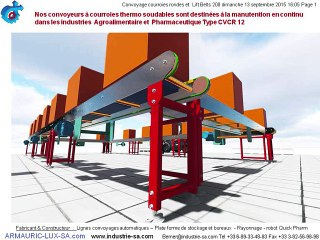 convoyeur courroie automatique carton transfert_0001