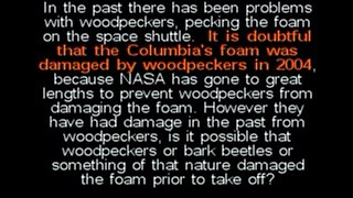 Did A Woodpecker Shoot Down The Space Shuttle