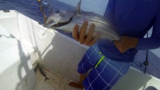 Deep Sea fishing in the Cayman Islands