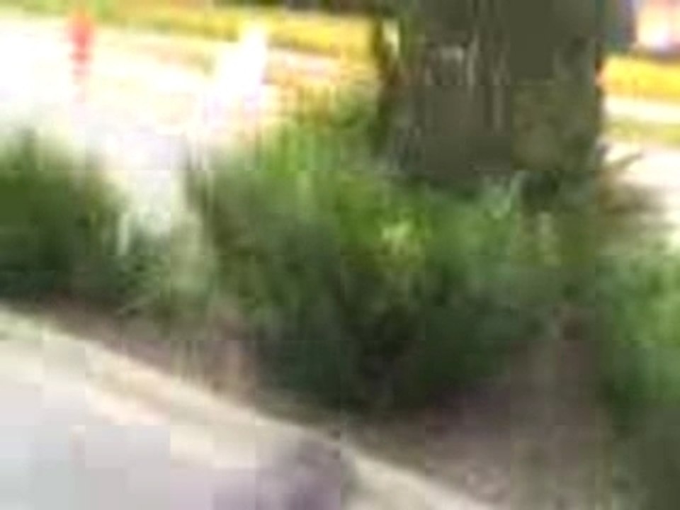 Vol_plann_[1]