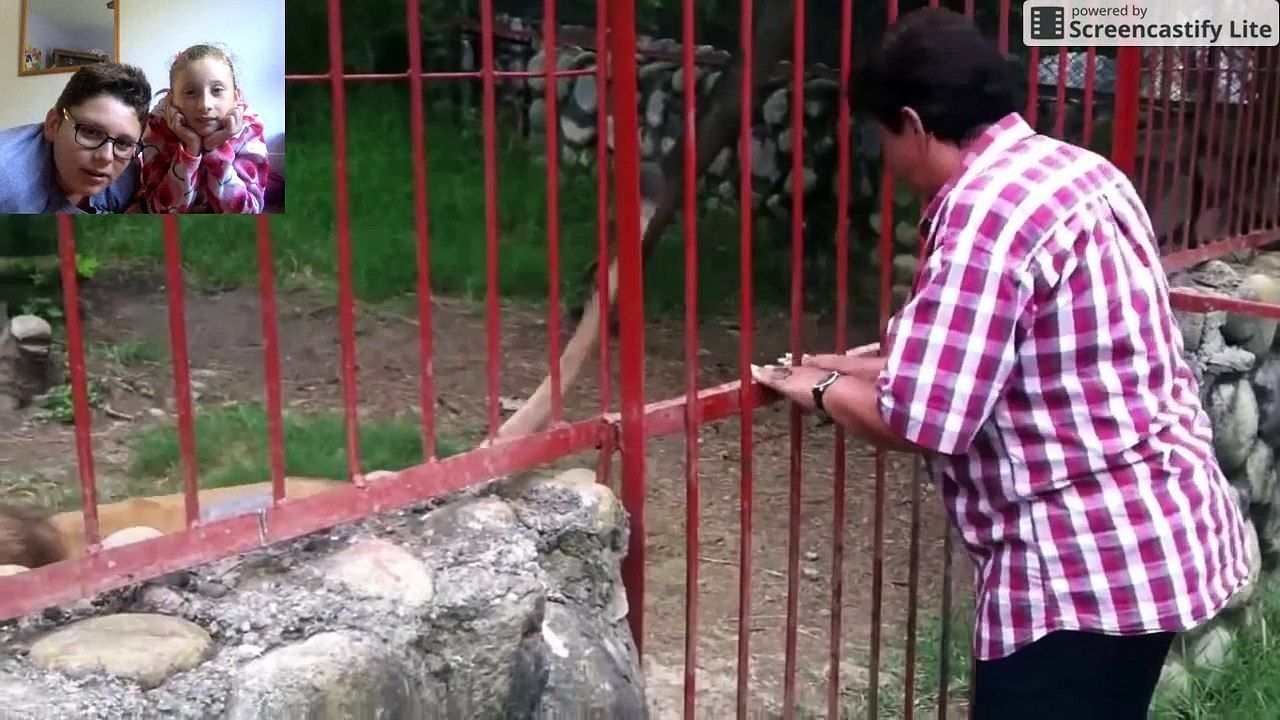 FUNNY ANIMAL FAILS! w/ Elena!