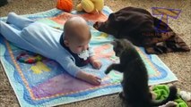 Cats are best babysitters and nannies - Cute cat & baby compilation