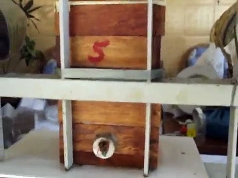 ASF - ISCA PET - JATAI