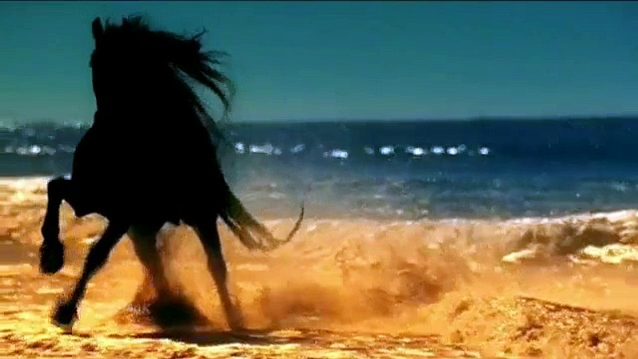 Gipsy-Kings Viento Del Arena‬