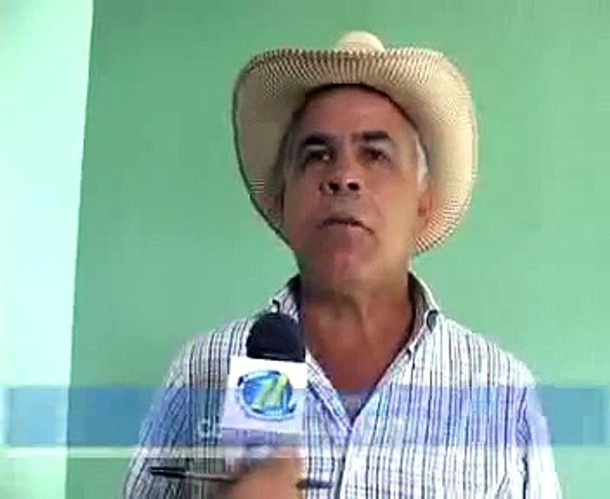 exportaciones novillo