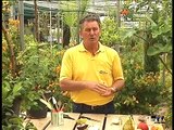 El jardinero en casa - Árboles frutales