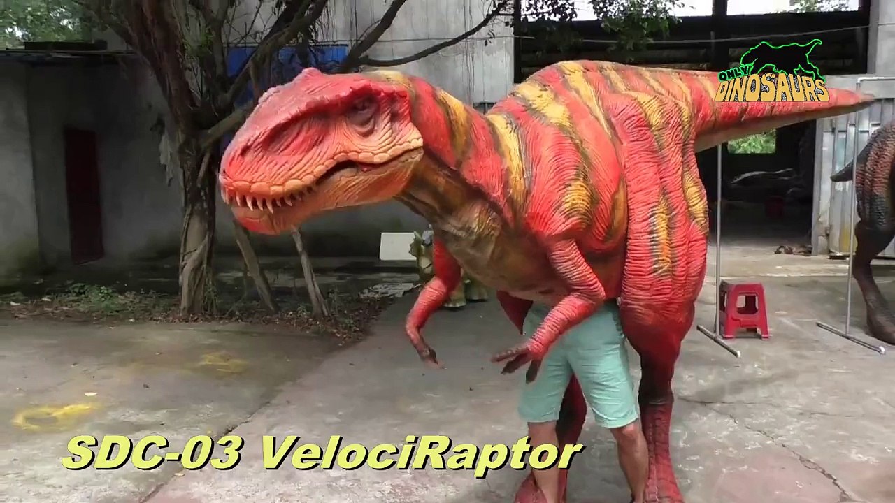 Stock Dinosaur Costumes-ONLYDINOSAURS PRODUCTION