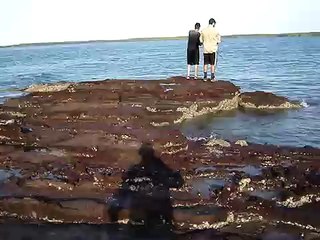 barramundi fishing the rock