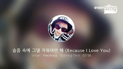 [everysing] 슬픔 속에 그댈 지워야만 해 (Because I Love You)