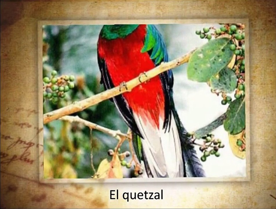 Proyecto multiprofesional EPSUM - USAC Sibinal, San Marcos I.wmv