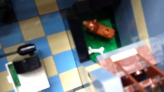 Lego Set Review: Pet shop and Palace cinema