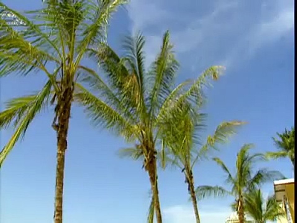 Marparaíso, presentación