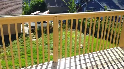 Download Video: How to stain Staining a wood deck