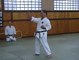Tensho Kata. Okinawan Goju Ryu by Shihan Morio Higaonna(10.Dan)