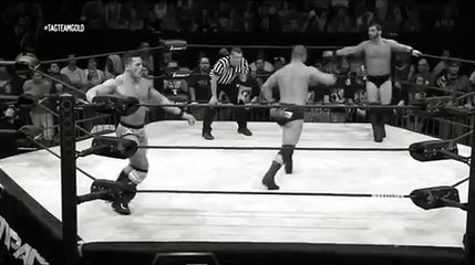 Austin Aries & Bobby Roode - Aided IED, Spinebuster & 450 Splash