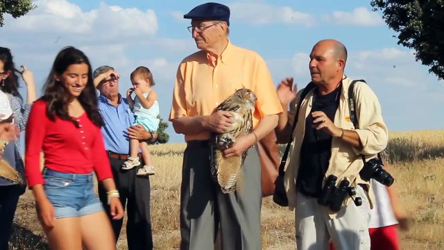 Corredores biológicos para pequeñas rapaces. Fundación Banco Santander