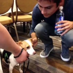 Dylan O'Brien