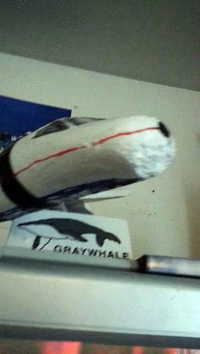 HISTORY OF AN AIRPLAIN (WORKING CAN BE HARMFUL)!!!