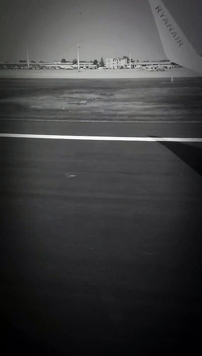 Veronika in the airplain